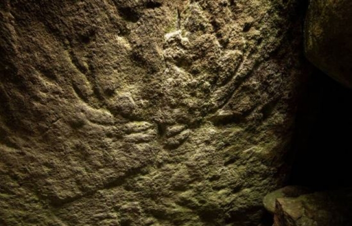 ​В Шотландии случайно обнаружили рисунки на камне, которым может быть 5 тыс. лет: фото