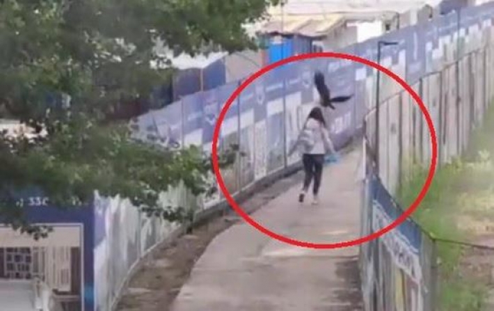 В Киеве ворона атакует женщин (видео)