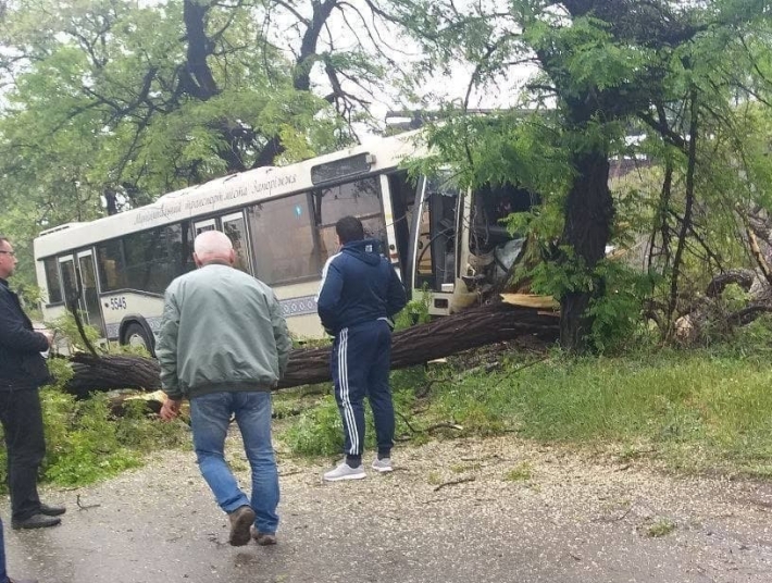 В Запорожье коммунальный автобус влетел в дерево (фото)