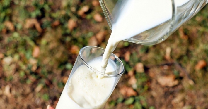 Украинцам вместо молока продают фальсификат, на вкус не отличить: эксперт раскрыл детали