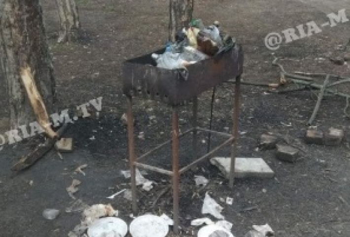 Мангалы вместо мусорки – как в лесопарке Мелитополя народ отдыхает (фото)