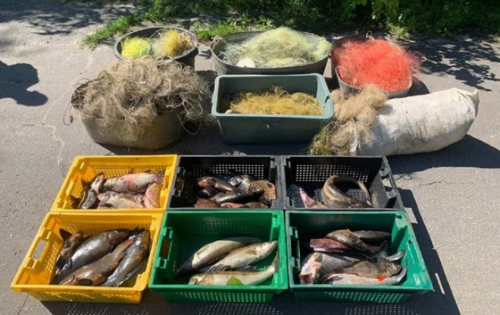 В Киеве браконьеры продавали на рынках рыбу из Чернобыльской зоны (фото, видео)