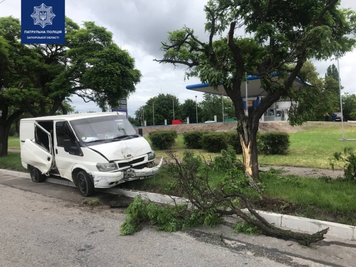 В Запорожье в результате ДТП автомобиль влетел в дерево (фото)
