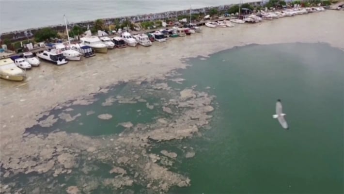 Морская слизь у берегов Турции грозит экологической катастрофой (видео)