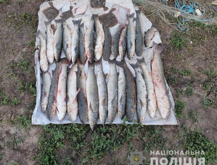 В Мелитопольском районе браконьеры наловили рыбы на 50 тысяч грн.