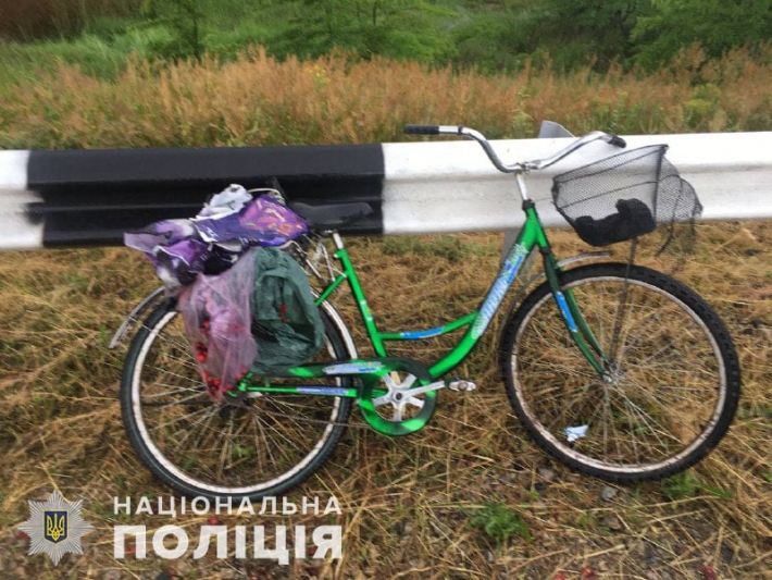 В Запорожской области грузовик сбил велосипедистку (фото)