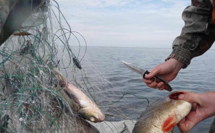 В Запорожской области рыбпатруль изъял браконьерские сети (видео)