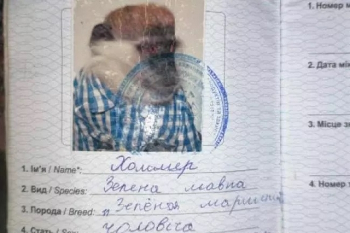 Под Киевом "задержали" обезьяну с паспортом: фото и подробности необычной истории