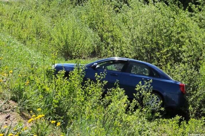 В Запорожской области автомобиль вылетел в кювет
