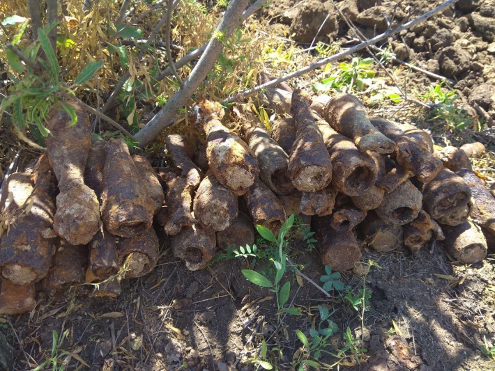 В Бердянске во время земельных работ обнаружили 90 снарядов и мин