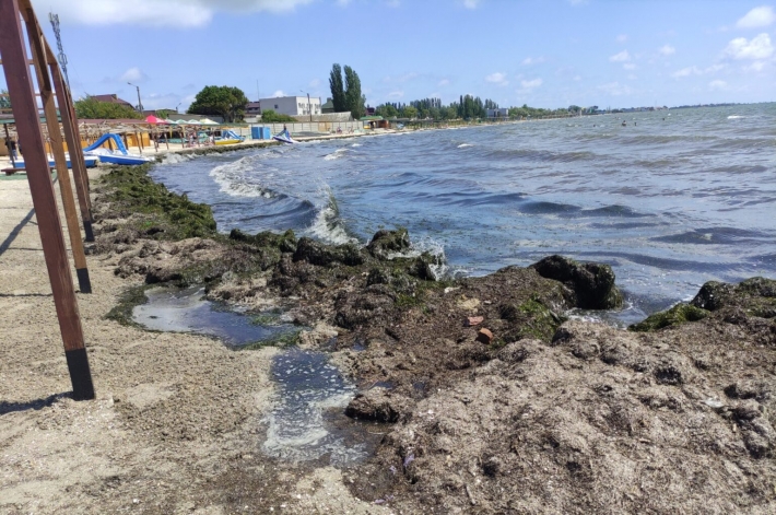 Медуз нет, водорослей полно, - как выглядят пляжи Бердянска сегодня