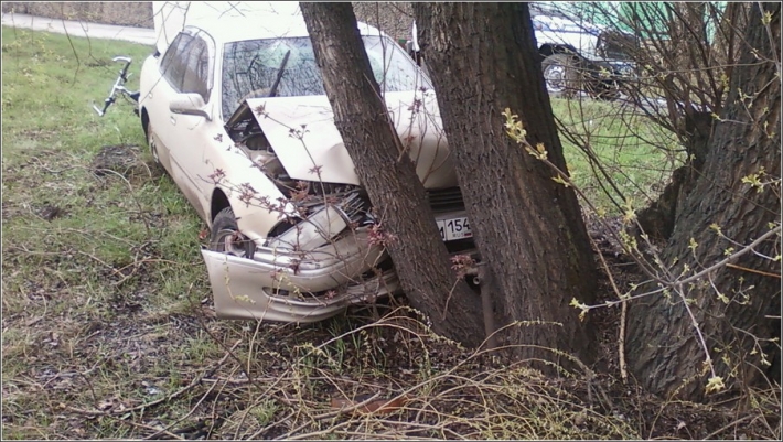 Под Запорожьем авто с тремя парнями врезалось в дерево - один погиб