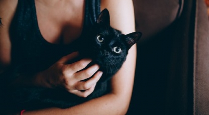 Кот успокоил льющую слезы хозяйку и стал звездой сети: трогательное видео