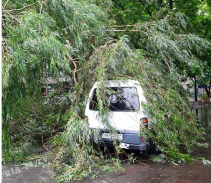В Мелитополе огромная ветка рухнула на автомобиль (фото)