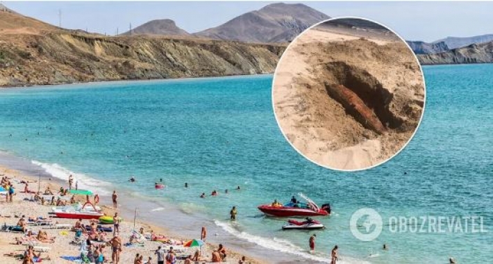 Трупы дельфинов закапывают в песке, на части пляжей купаться запрещено: свежие фото и видео из Крыма