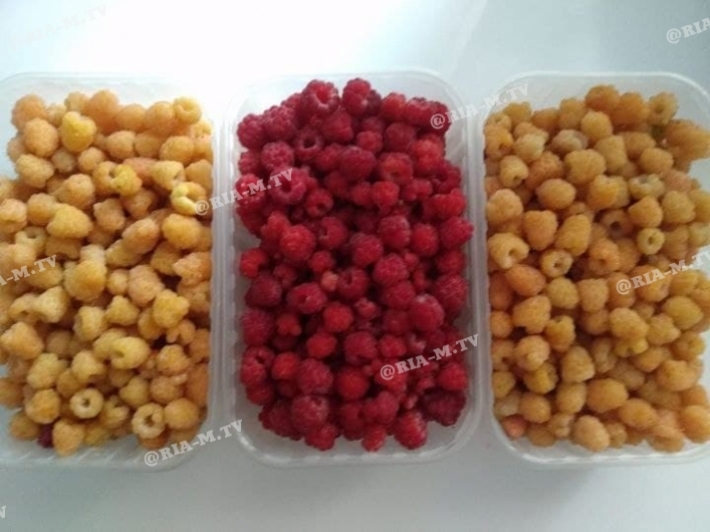 Цены не сложат - в Мелитополе появилась на рынках самая дорогая ягода (фото)