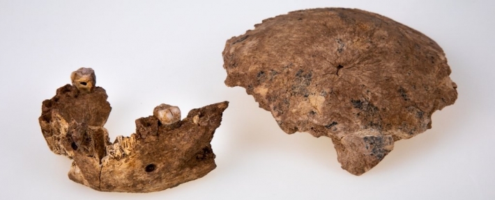 ​В Израиле нашли фрагменты черепа древнего человека - история покрыта загадкой: фото
