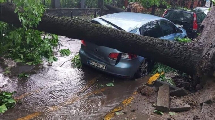 Буря во Львове: затоплены улицы, повалены деревья. Мэр призывает горожан оставаться дома. ФОТОрепортаж