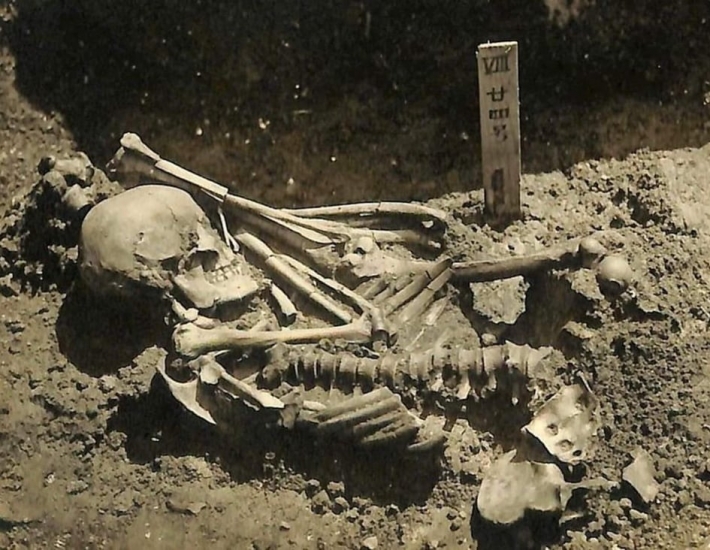 Археологи обнаружили самую древнюю жертву акул - находке более 3 тысяч лет: фото