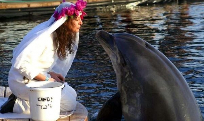 Миллионерша из Британии оплакивает смерть своего "мужа-дельфина"