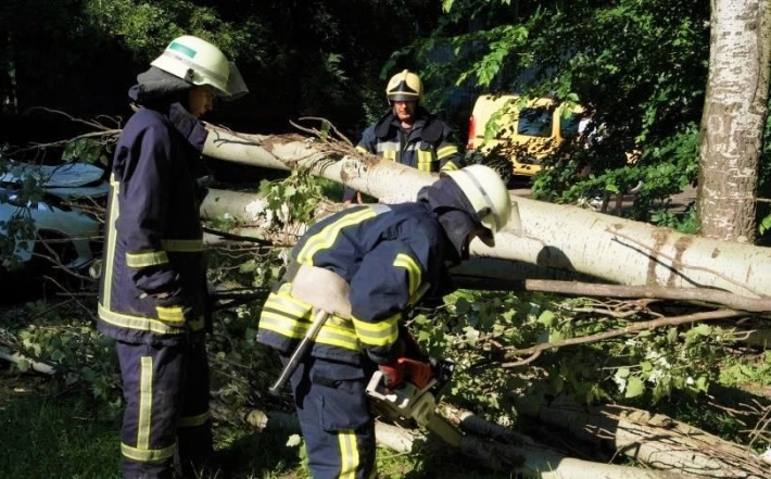 В Запорожье коллапс: падают деревья, затопило улицы. Десятки спасателей сражаются с последствиями непогоды (фото)