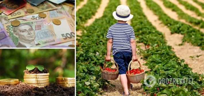 Украинцев, у которых есть огороды, заставят платить налоги: какие новшества предложили в Раде