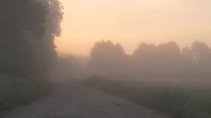 Запорожскую область накроет туман - водителей предупреждают об опасности