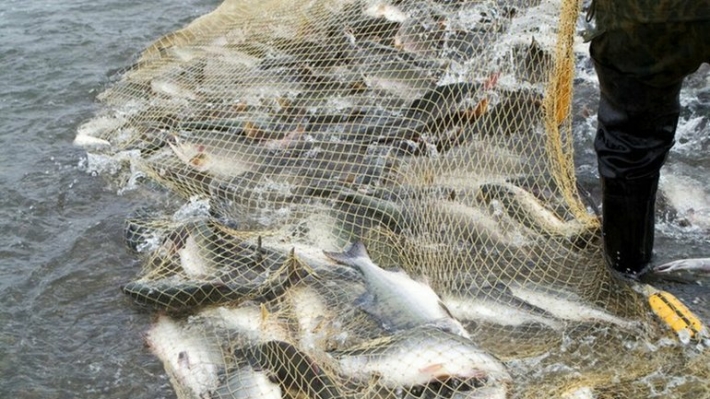 За незаконную ловлю  рыбы под Мелитополем суд выносит "странные" решения