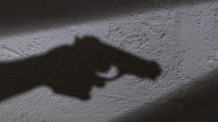 В Запорожской области женщина подстрелила соседа из револьвера