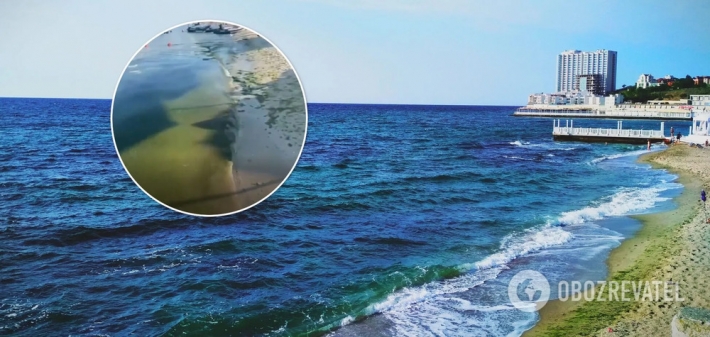 Никто не купается, стоит страшная вонь: турист пожаловался на отдых в Одессе (Видео)