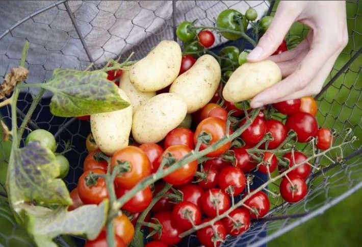 Какие овощи опасны для людей с диабетом