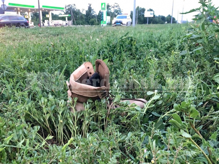 В Запорожской области неадекватный водитель сбежал с места ДТП