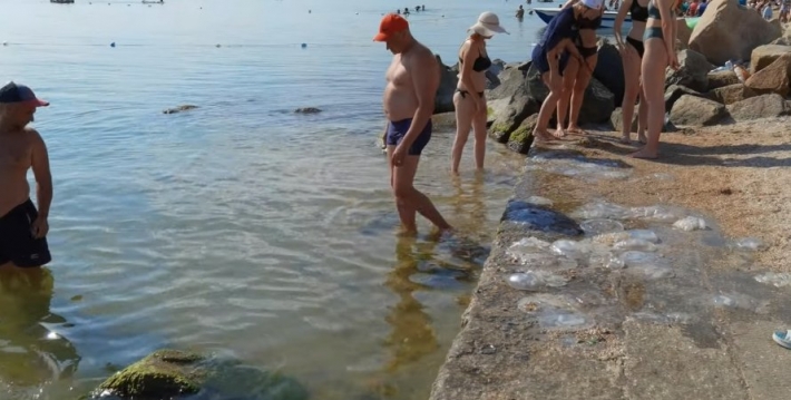 "Отдых испорчен": В Бердянске люди не могут купаться в море из-за нашествия медуз (видео)