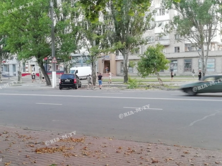 В Мелитополе на центральном проспекте КИА влетел в дерево (фото, видео)
