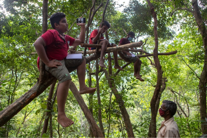 На Шри-Ланке школьники ловят интернет для онлайн-уроков на деревьях и скалах: фото