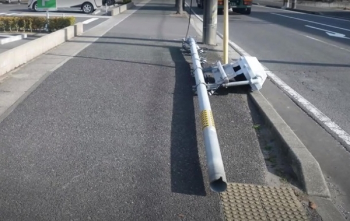 В Японии из-за собак упал столб со светофором (видео)