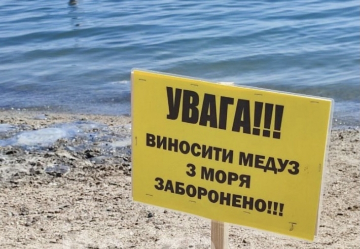 В Бердянске отдыхающим запретили выносить с моря медуз (фото)