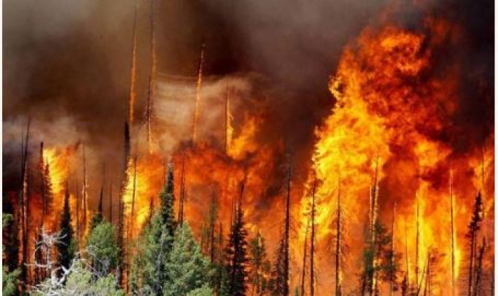Пожары в России: огнем охвачено свыше миллиона гектаров