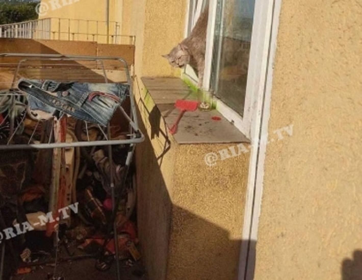 В Мелитополе к жильцам новостройки "перекочевали" тараканы, которых развела многодетная мать (фото, видео)