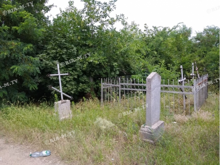 В Мелитополе старое кладбище превращают в свинарник (фото)