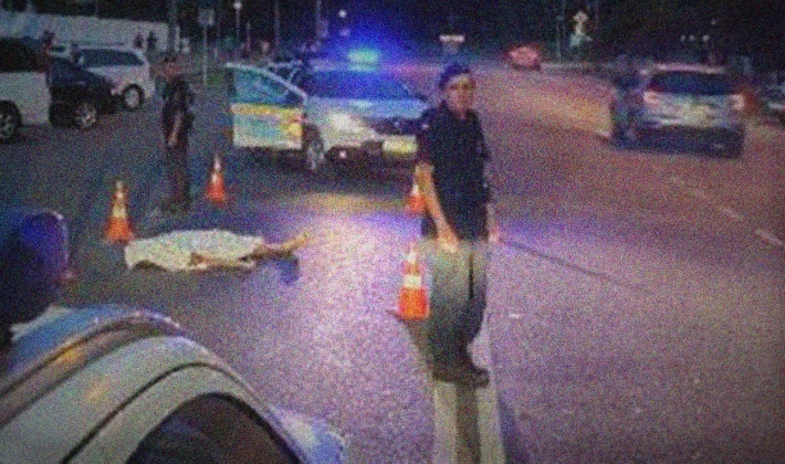 В Запорожской области пьяный водитель насмерть сбил пешехода (фото)