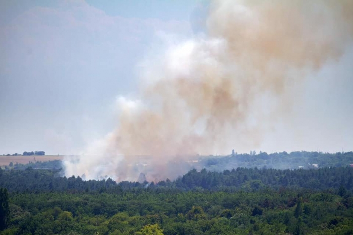 В Запорожье на Хортице начался масштабный пожар - подозревают поджог