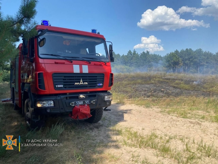 Спасатели ликвидировали пожар на Хортице в Запорожье (фото)
