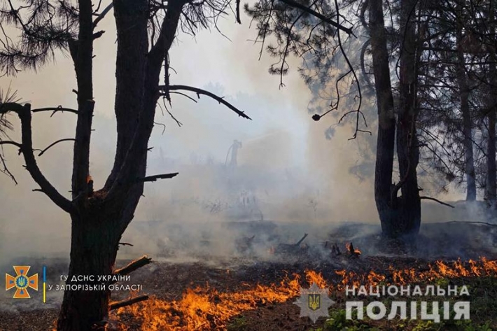 Полиция проводит проверку по факту пожара в заповеднике Хортица