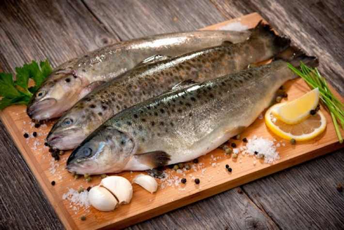 Стали известны результаты расследования отравления рыбой в Запорожье