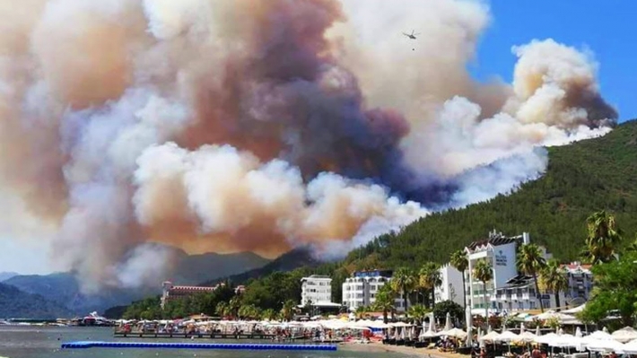 Лесные пожары под турецким Мармарисом: животные гибнут в огне, а туристы пакуют вещи и уезжают из курортов