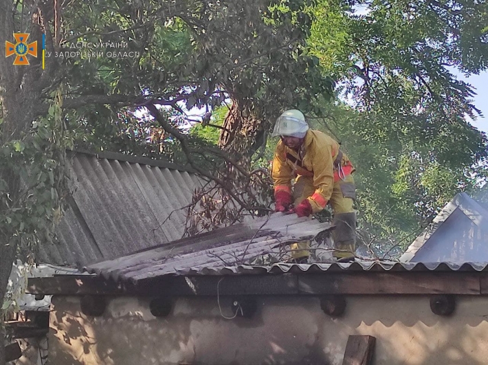 Под Мелитополем тушили масштабный пожар на территории частного дома