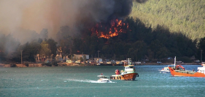 Пожары в Турции охватили еще один курортный город: количество пострадавших выросло (Фото и видео)