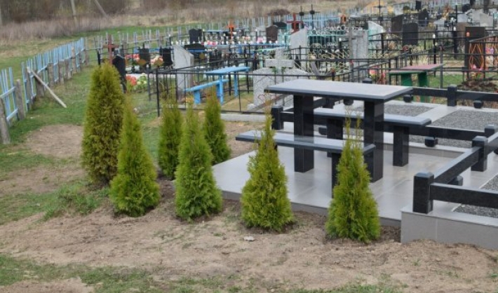 В Запорожской области женщина воровала деревья на кладбище