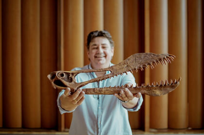 ​Летающий "дракон" с острыми зубами: ученые изучили останки птерозавра и рассказали о нем, фото